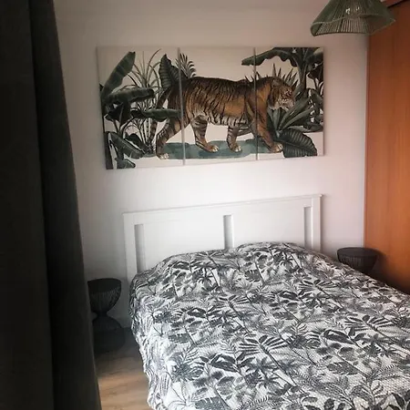 5 Etoiles Et Cosy Canet-en-Roussillon